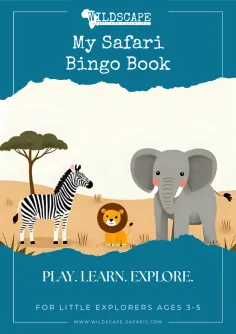 Cover of the Safari Bingo Book