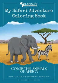 Cover of the colouring book for children aged three to five