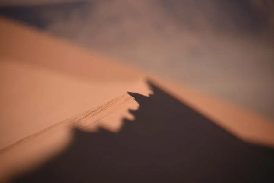 The crest of a sand dune dividing light and shadow